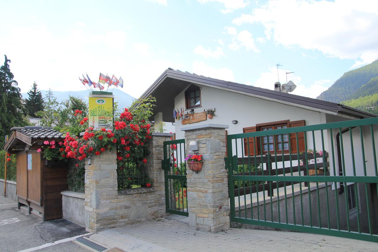 B&B Edelweiss Oulx Εξωτερικό φωτογραφία